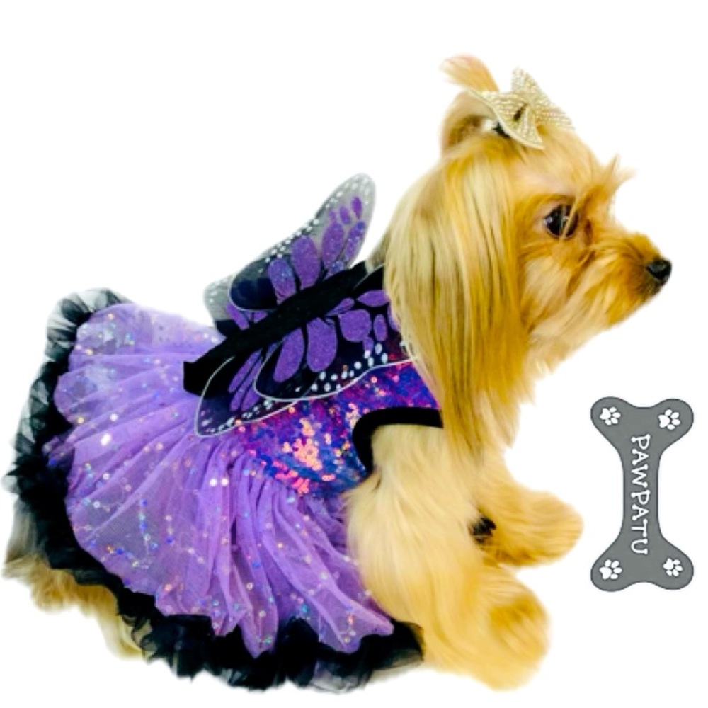 PAWPATU Sparkly Butterfly Dog Halloween Costume Dress W/Tulle Skirt Size M